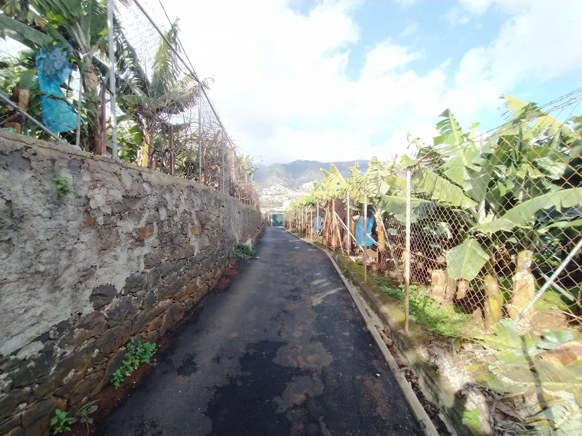 Dom wakacyjny Willa Casa Alencastre Funchal